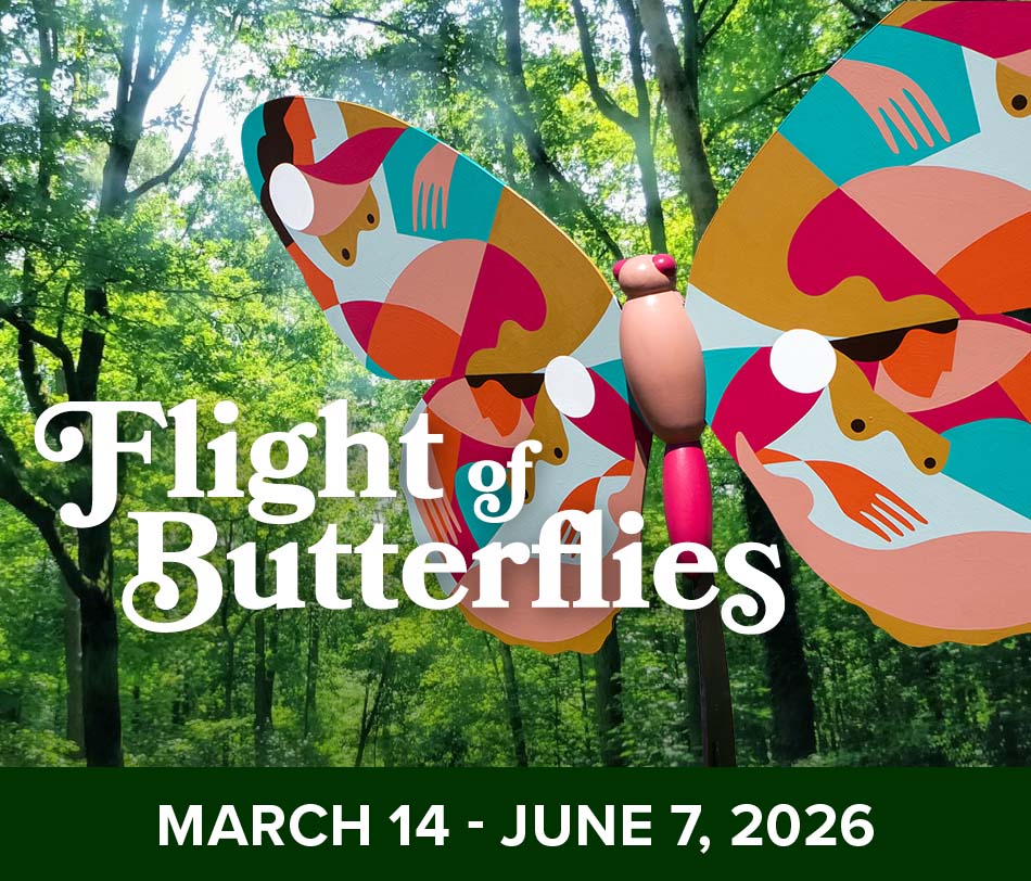 Fernbank Flightofbutterflies Internals Exhibitinsert