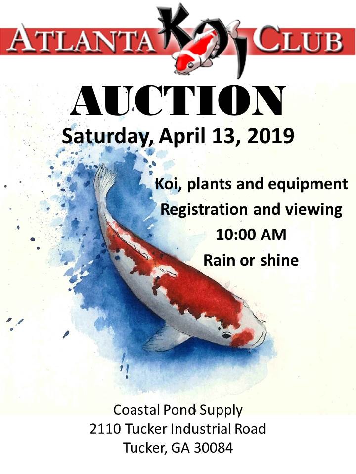 Auction 1