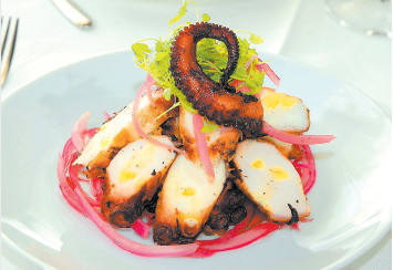 Octopus At Kyma