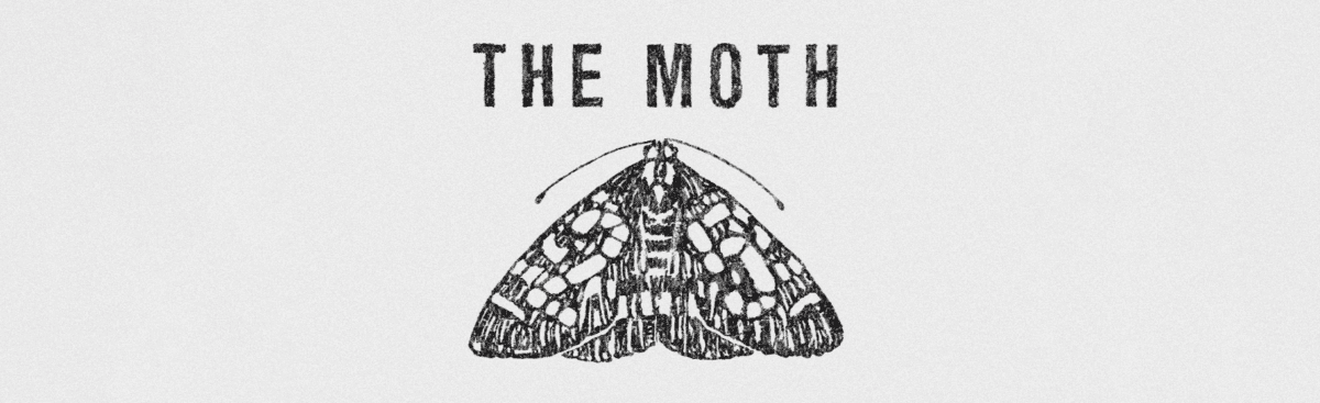 2564784.62526 THEMOTH Scaled