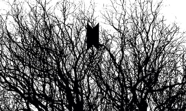 SGM Tree Banner 1