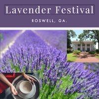 2026 Lavender Festival 14
