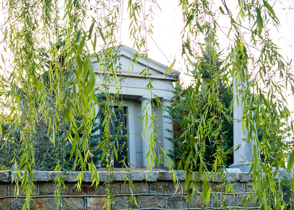 Weeping Willow Henri Hollis Sm
