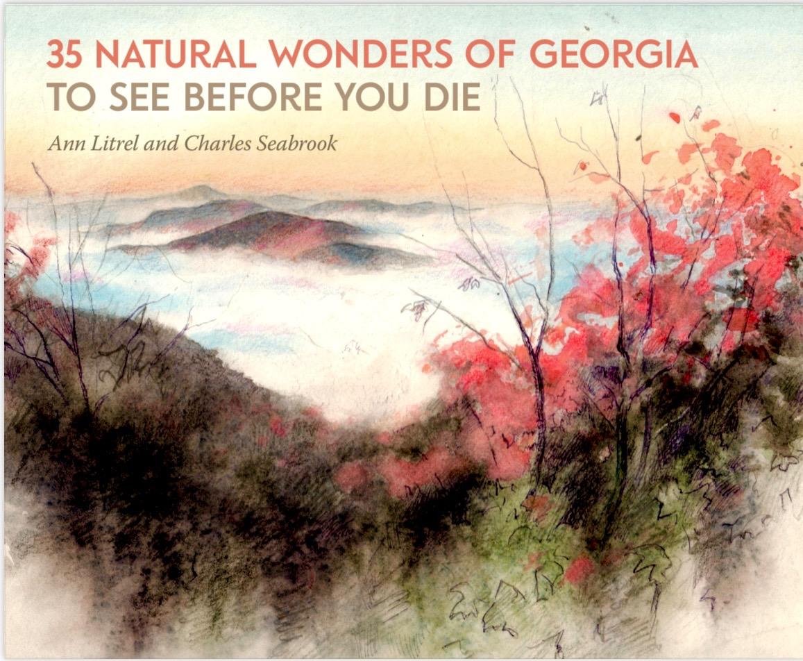 35 Natural Wonders Of Georgia Book Cover