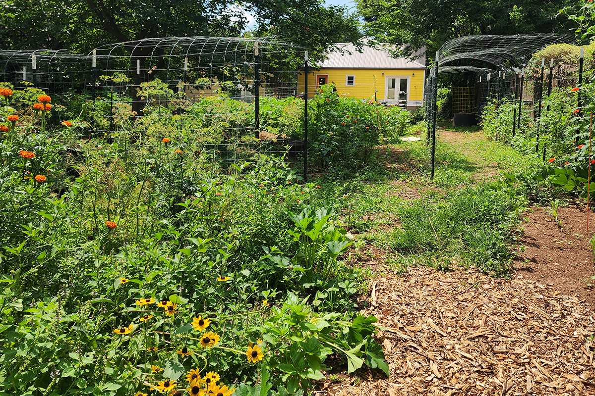 D'Best Urban Farm