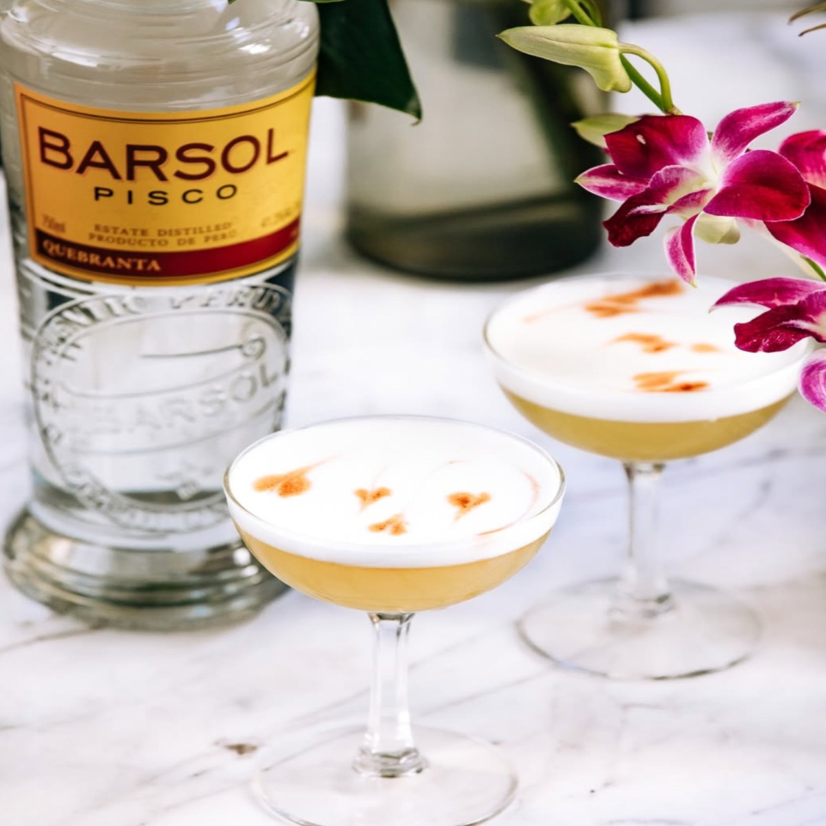 Piscosour