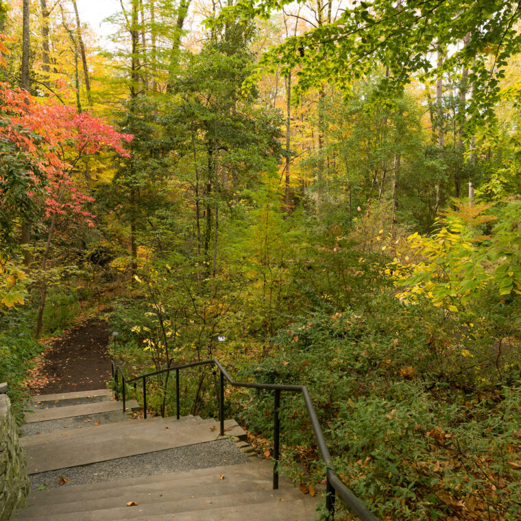 Quarry Garden Fall 760x760