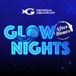 AH Glow Nights 2026 Web Icon 250x250