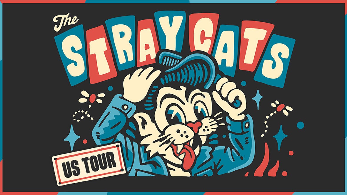 STRAY CATS 1180x664 260ef3b49e