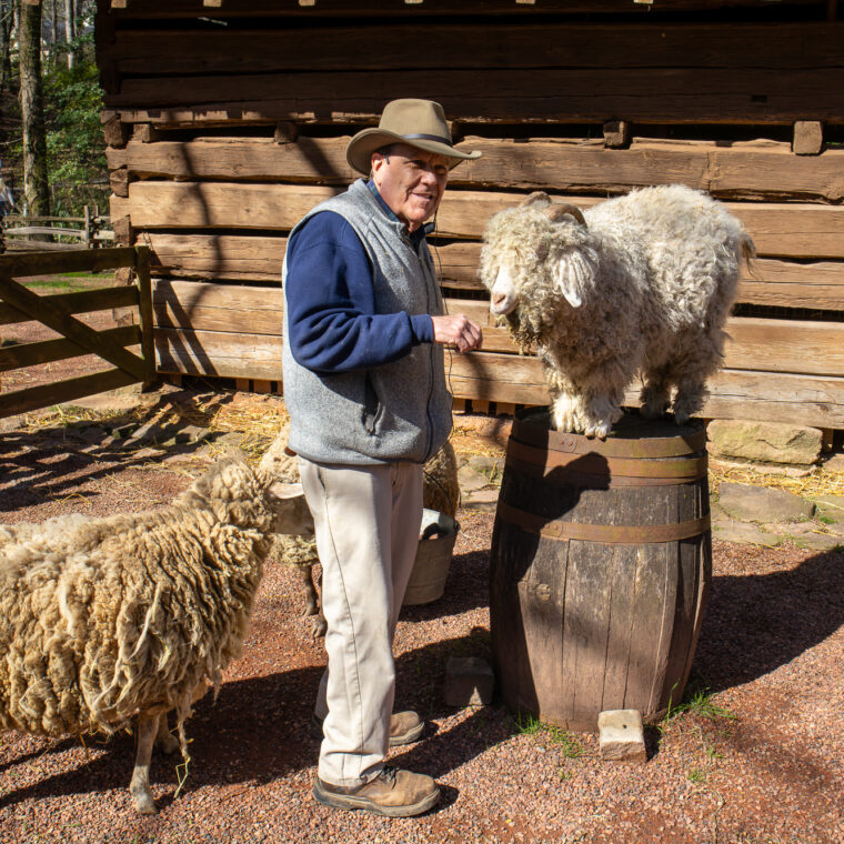 GreetSheep 26 3 13 2 760x760