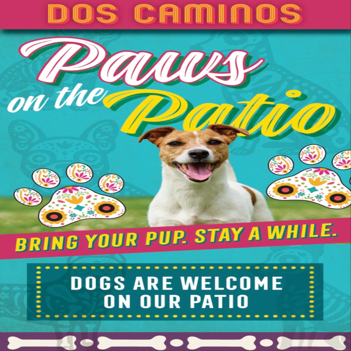 Paws On The Patio Dos Caminos ATL (1)