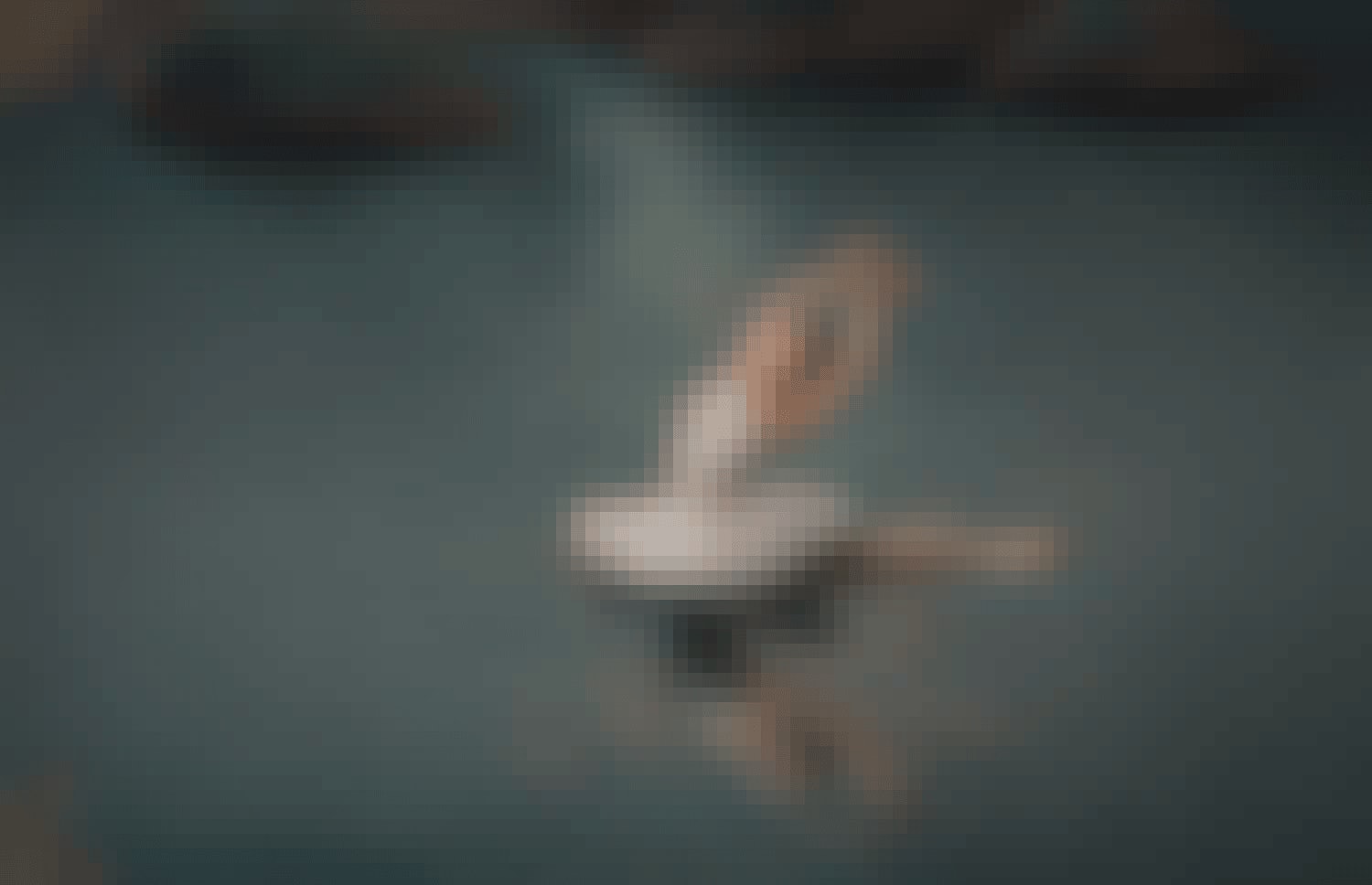 2750 X 1775 AB Website Swan Lake V2