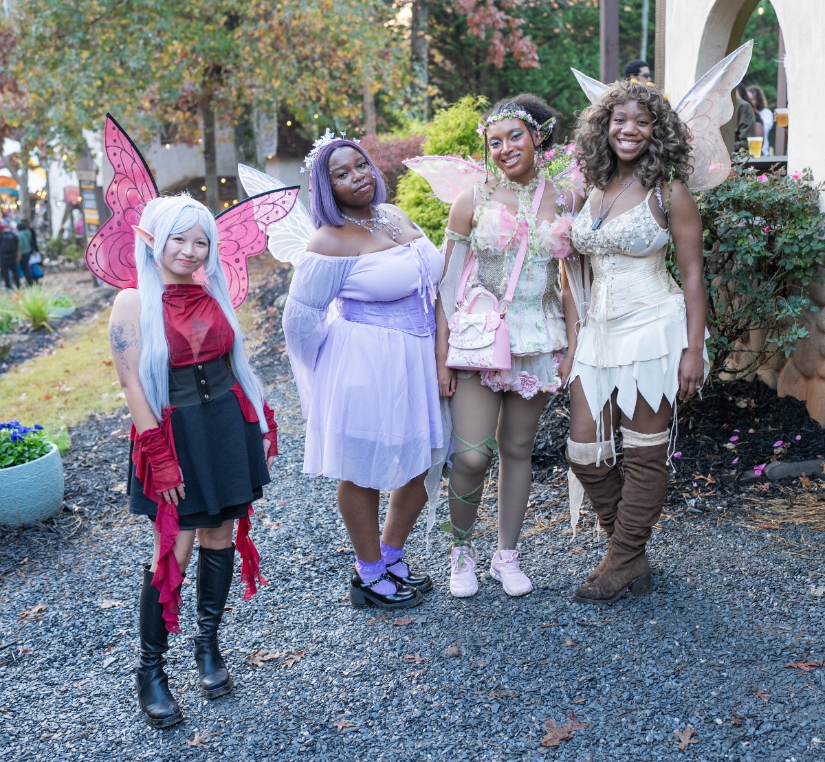 Fairy Group