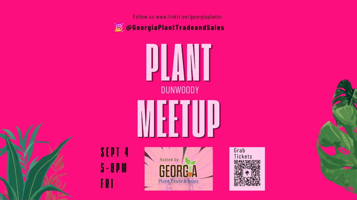 Meetup Wide Sept4