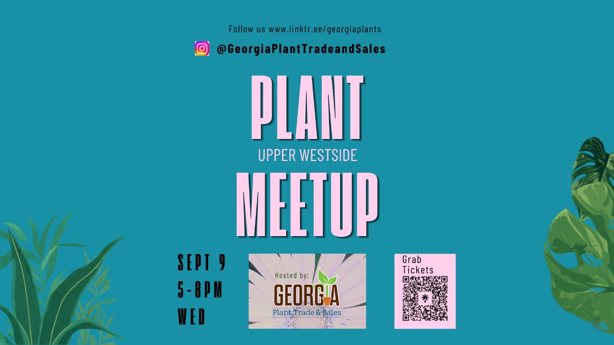 Meetup Wide Spet 9
