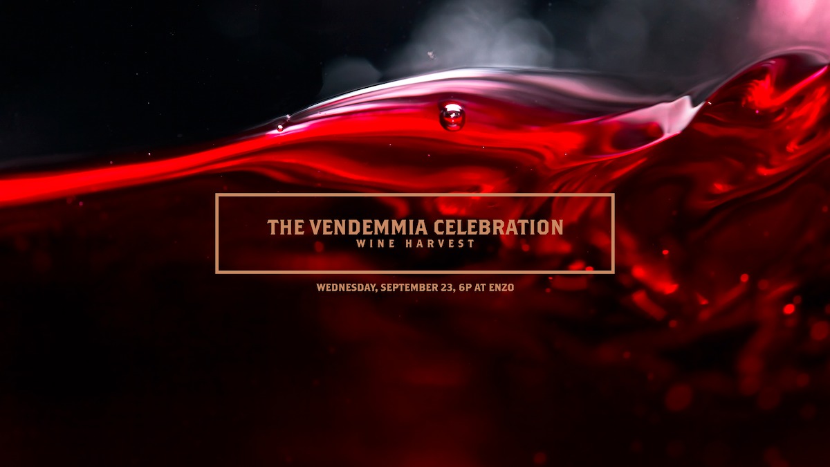 Vendemmia26