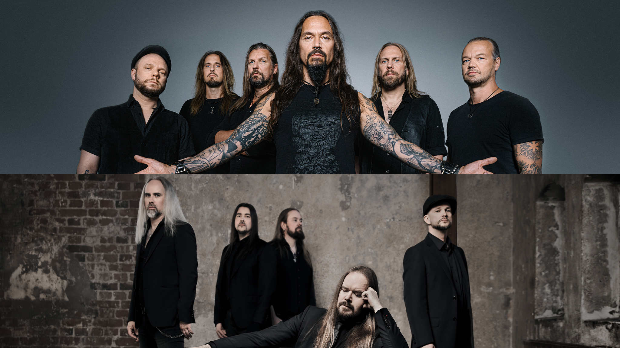 121326 Amorphisinsomnium Site