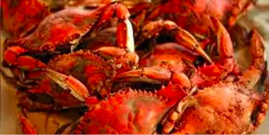 Crabs