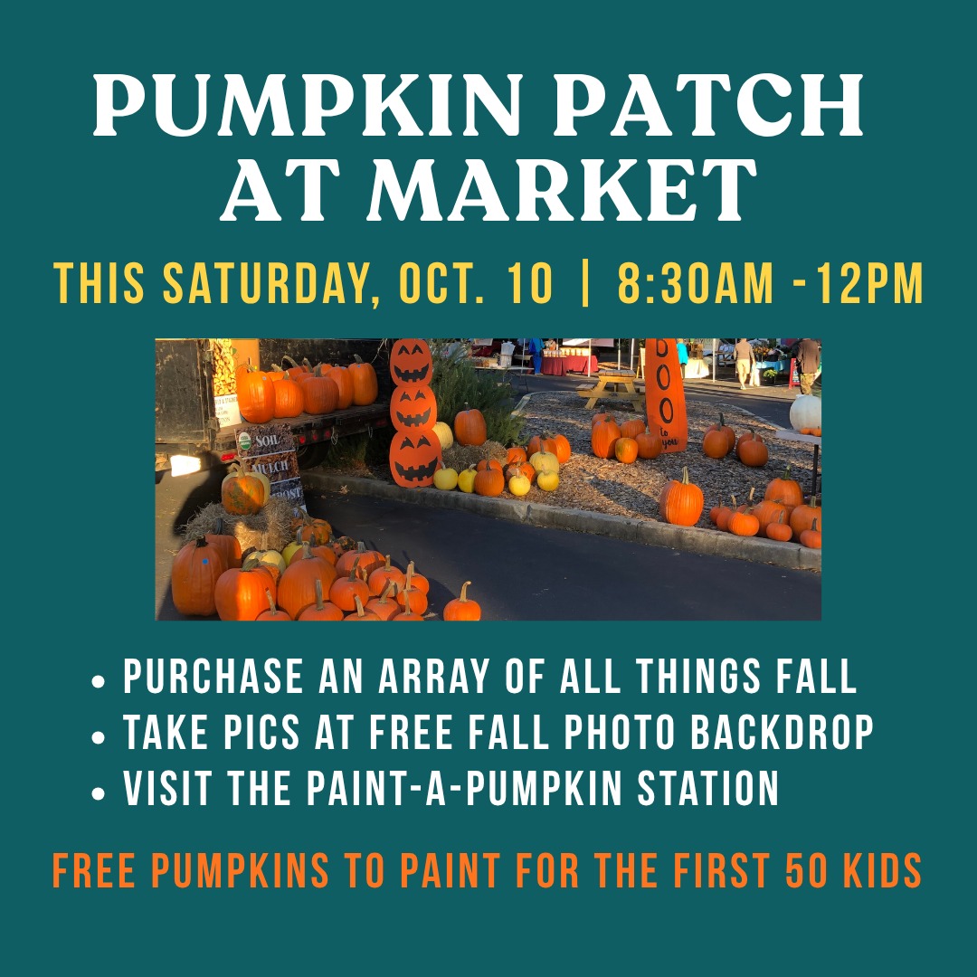 Pumpkin Patch (Instagram Post) (3)