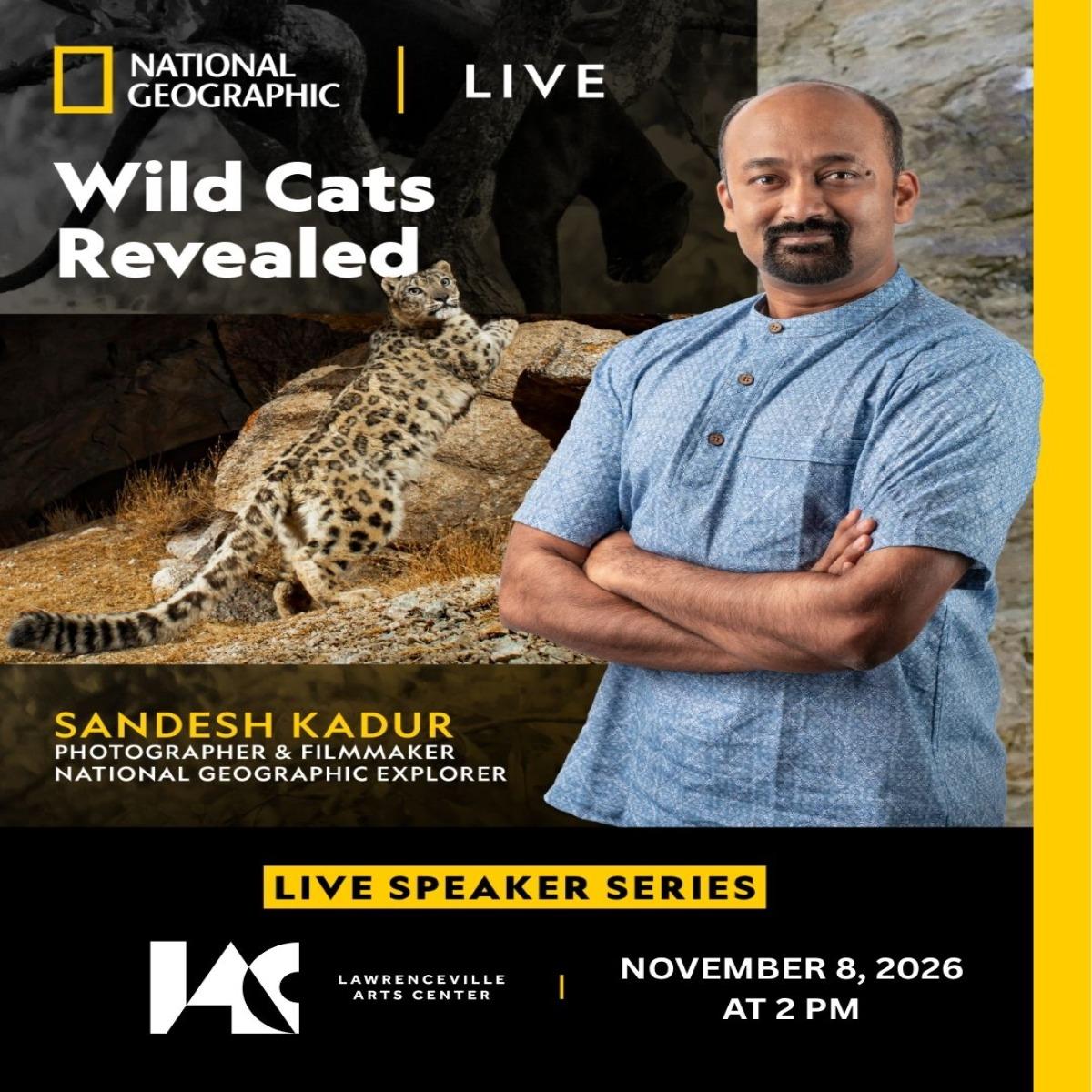 1920 X 1350 National Geographic Wild Cats