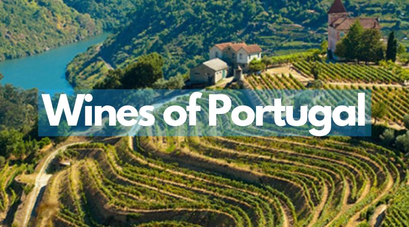 60404346 10155848468971403 5405681323765399552 N