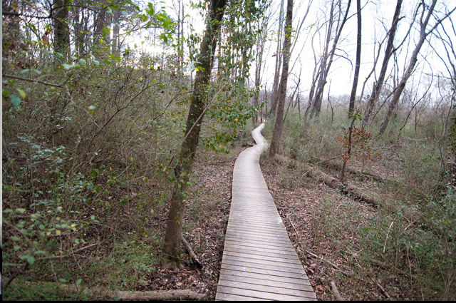 Morningside Nature Preserve Magnum