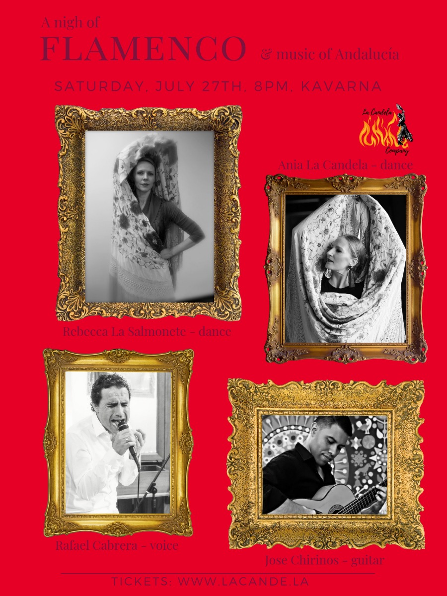 Flamenco Night