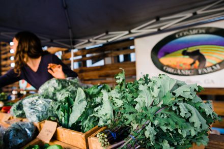 2018 04 10 PCFM 0002 E1554406434189