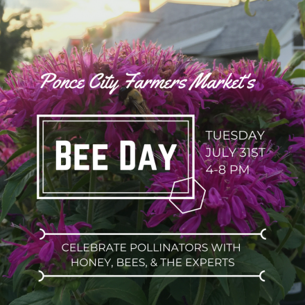 PCFM Bee Day Square E1554404354535