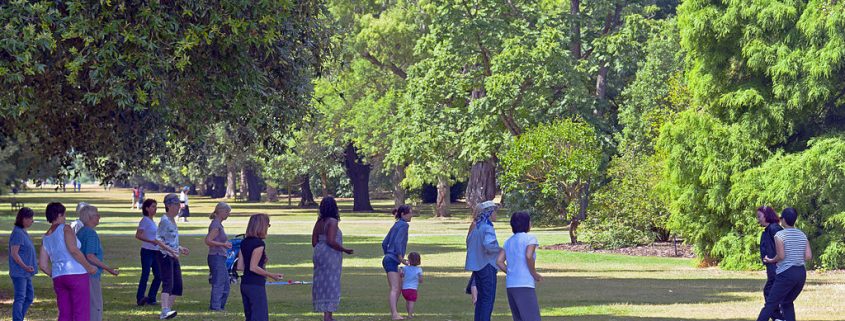 Tai Chi Free License Photo 845x321
