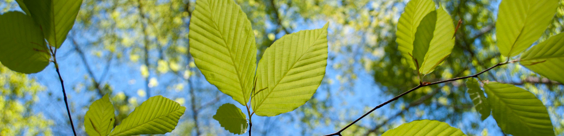 2016earthdaysubmarquee