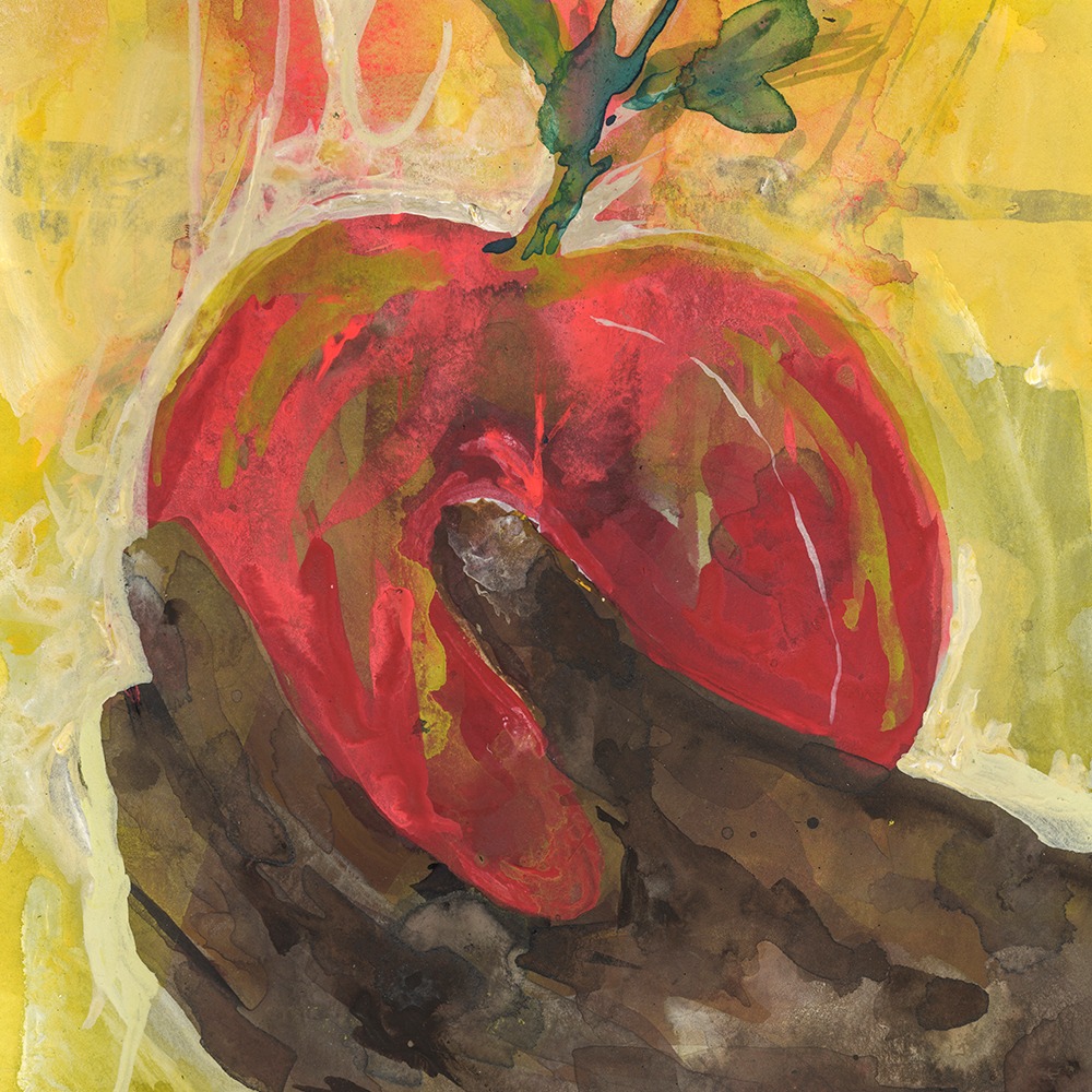 Tvy Grannysgarden 1000x1000