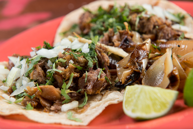 Cover International5 1 52 Online Jc