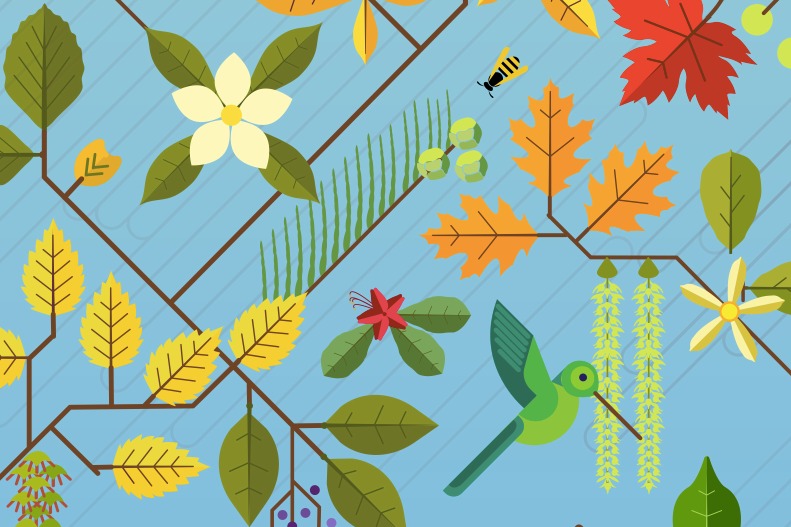 Screen Shot 2019 08 28 At 11.08.07 AM