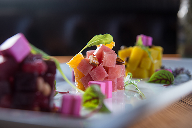 Acg Seedo 2014boa1 1 53 Magnum