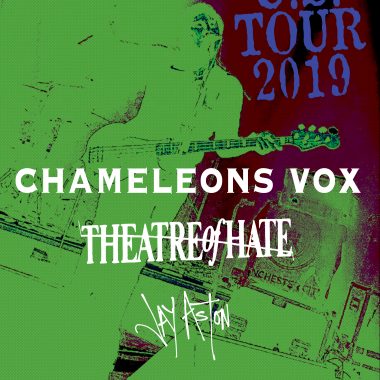 Chameleons 11x17 Nodates E1568153462399 380x380
