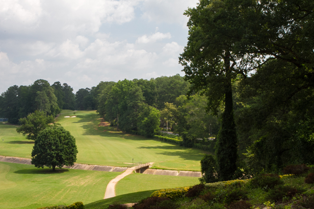 John White Golf Course Magnum