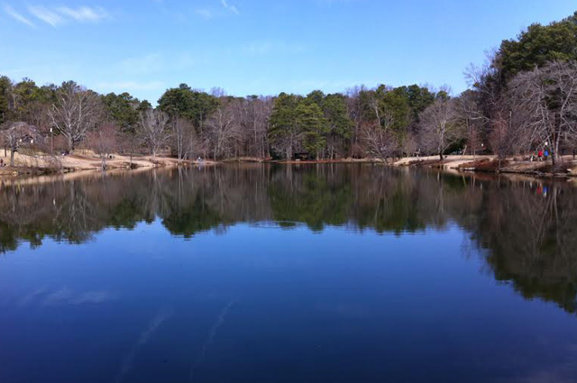 Lake Avondale Magnum