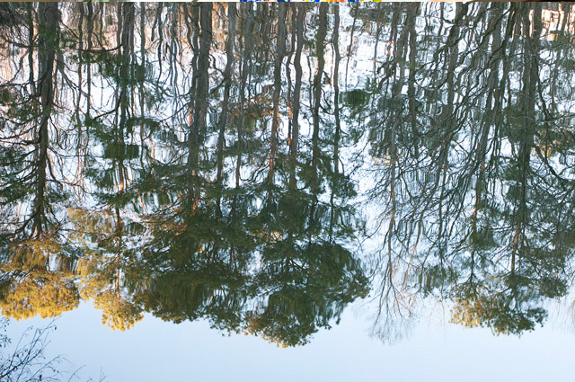 Lullwater Park Magnum