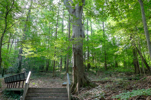 Outdooractivitycenter Magnum