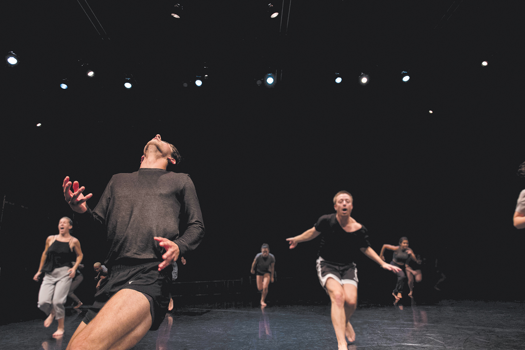 Staibdance Fence Web