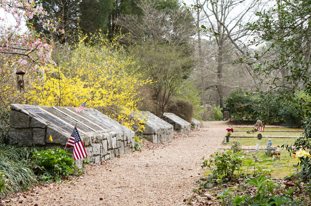 Decatur Cemetery Magnum