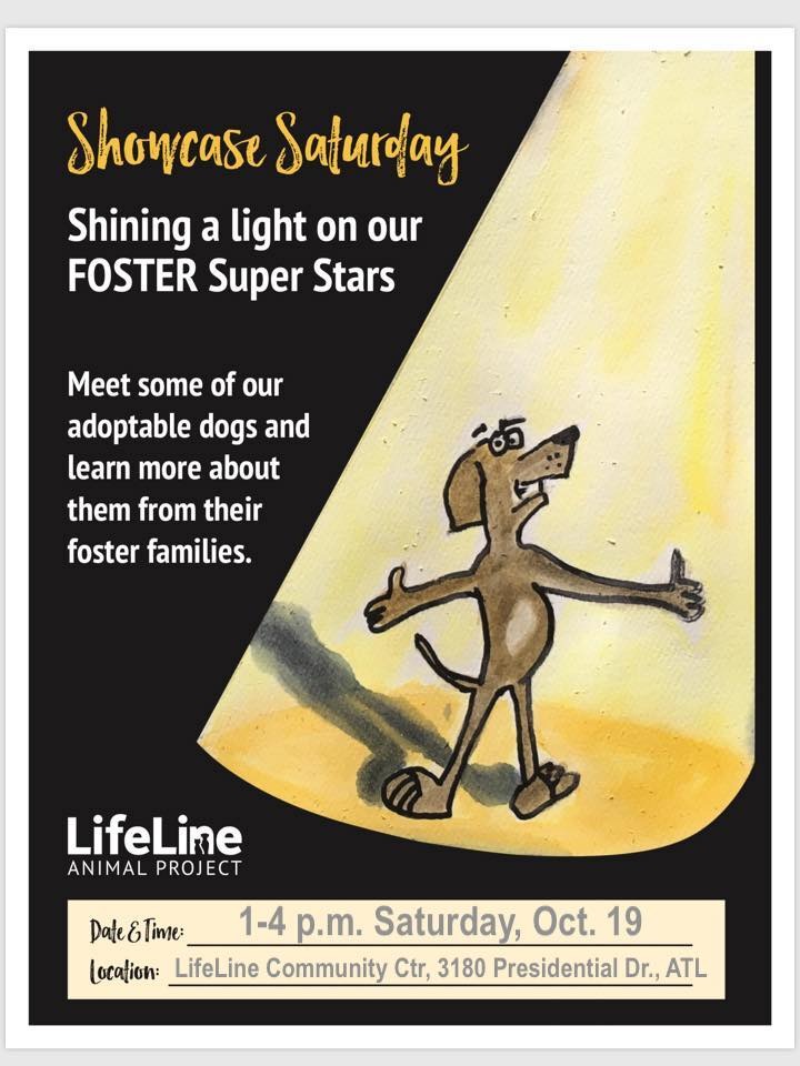 Showcase Saturday Flyer