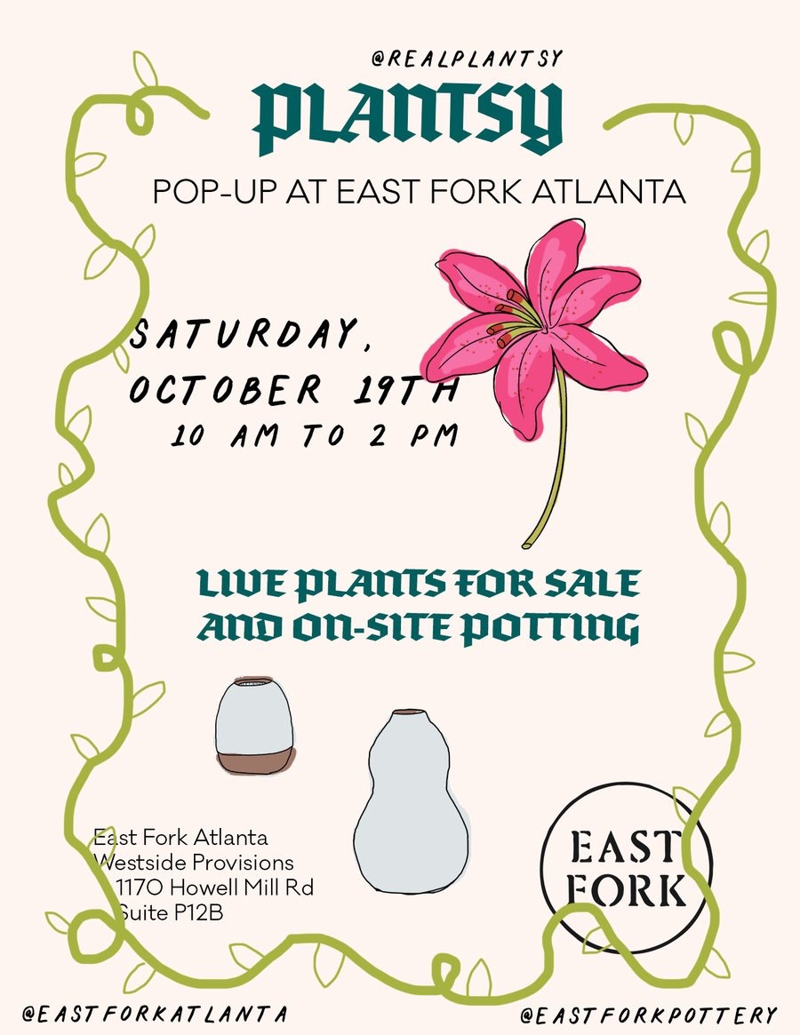 Plantsy 900x 1