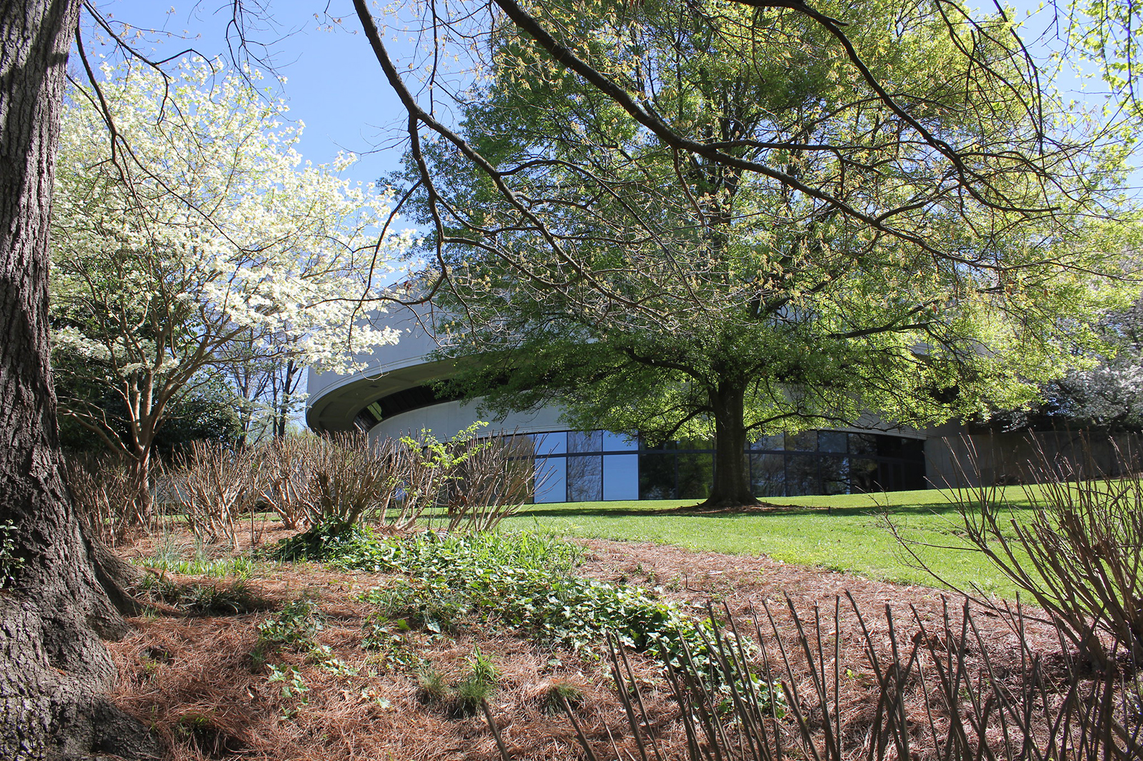 The Carter Center Nicolas Henderson