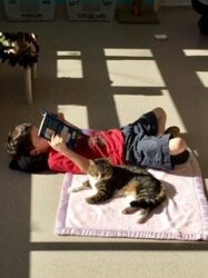 Read To Cats