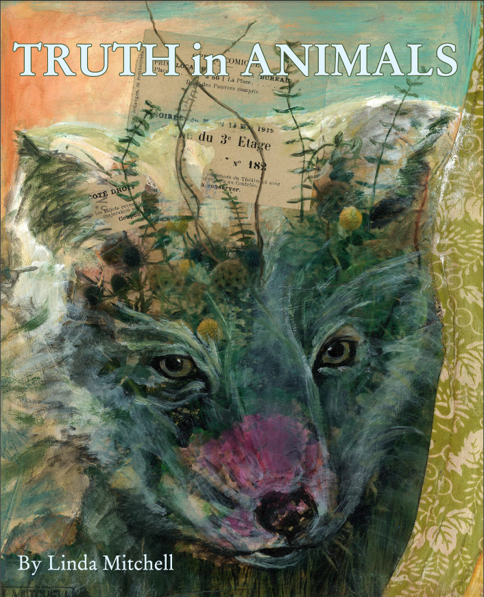 Screen Shot 2019 04 14 At 10.44.52 AM