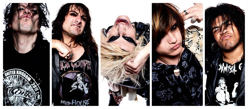 Wildstreet Mark Dektor