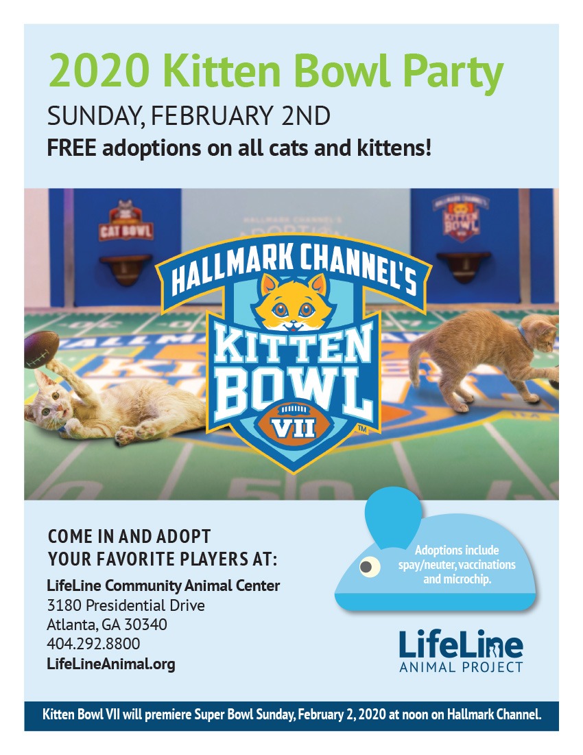 Kitten Bowl 20 Flyer