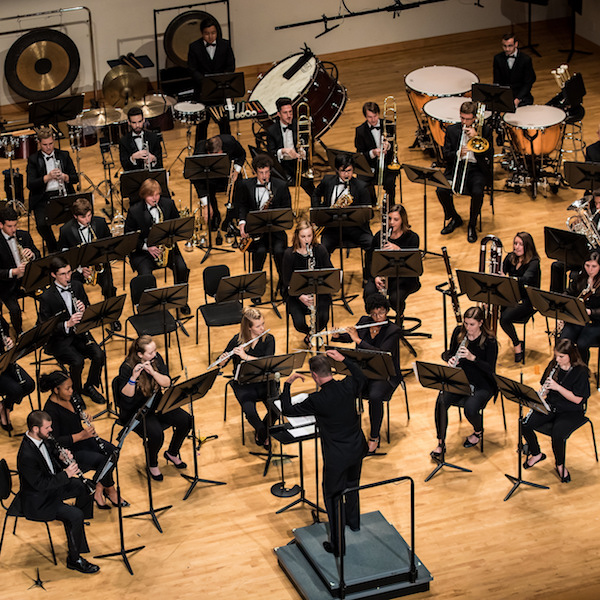 163620 32089753118 8531